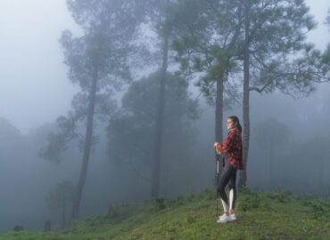 Solan, Himachal Pradesh: One of The Ultimate Places to Visit in Summers in India