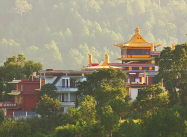 From Temples to Treks: 5 Best Tourist Places to Visit in Solan, Himachal Pradesh