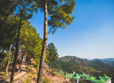 5 Reasons Why You Should Choose Solan for Your Next Vacation
